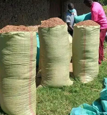 Bags of feed stored at a pig farm